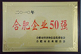 雄峰被评为合肥企业50强